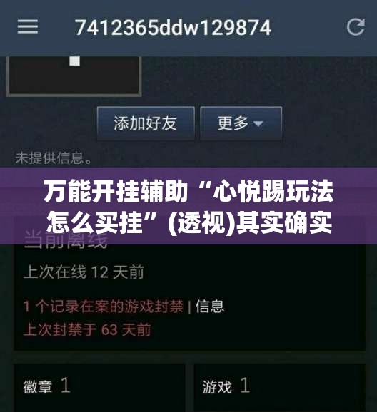 万能开挂辅助“心悦踢玩法怎么买挂”(透视)其实确实有挂