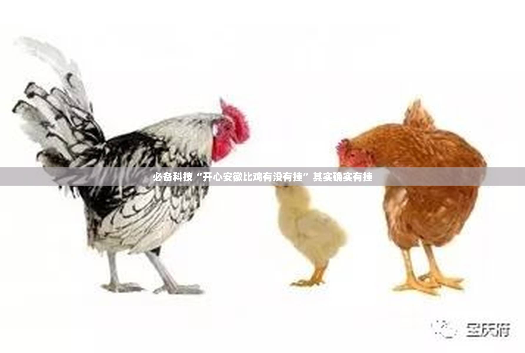 必备科技“开心安徽比鸡有没有挂	”其实确实有挂