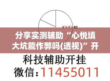 分享实测辅助“心悦填大坑能作弊吗(透视)	”开挂辅助脚本+详细开挂安装教程