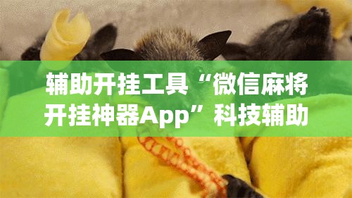辅助开挂工具“微信麻将开挂神器App”科技辅助神器手机版