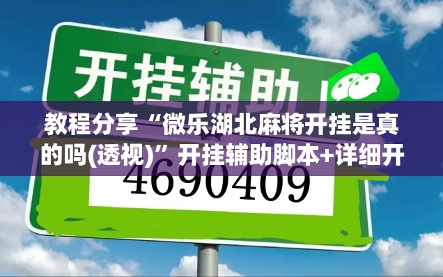 教程分享“微乐湖北麻将开挂是真的吗(透视)”开挂辅助脚本+详细开挂安装教程