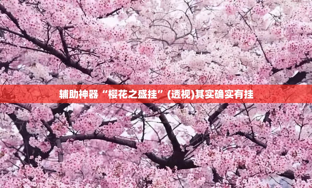 辅助神器“樱花之盛挂	”(透视)其实确实有挂