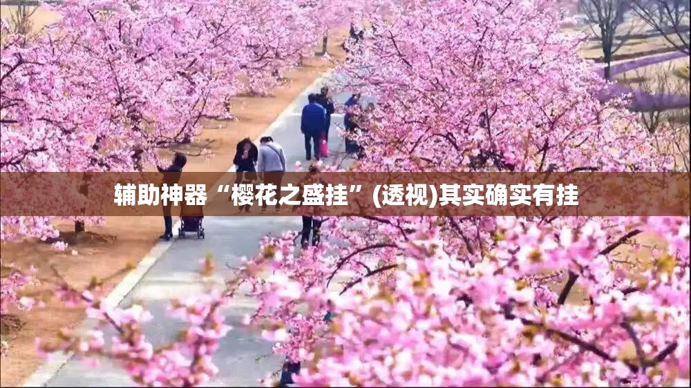 辅助神器“樱花之盛挂”(透视)其实确实有挂