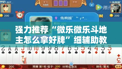 强力推荐“微乐微乐斗地主怎么拿好牌”细辅助教程分享