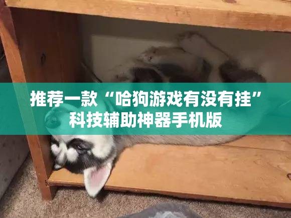 推荐一款“哈狗游戏有没有挂”科技辅助神器手机版