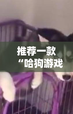推荐一款“哈狗游戏有没有挂”科技辅助神器手机版