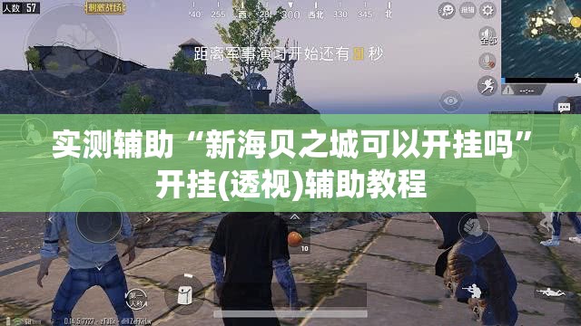 实测辅助“新海贝之城可以开挂吗”开挂(透视)辅助教程