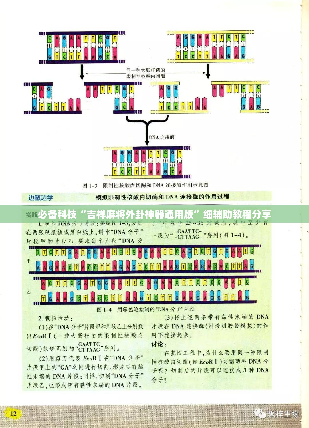 必备科技“吉祥麻将外卦神器通用版	”细辅助教程分享