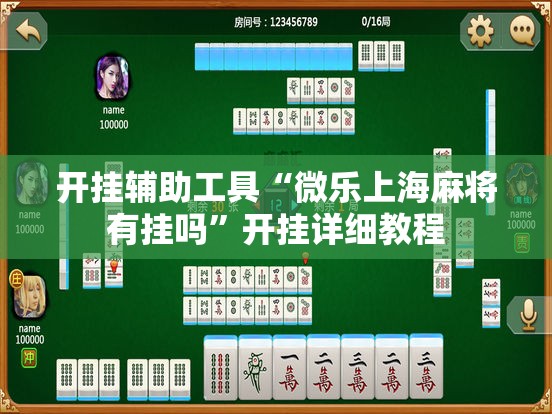开挂辅助工具“微乐上海麻将有挂吗”开挂详细教程