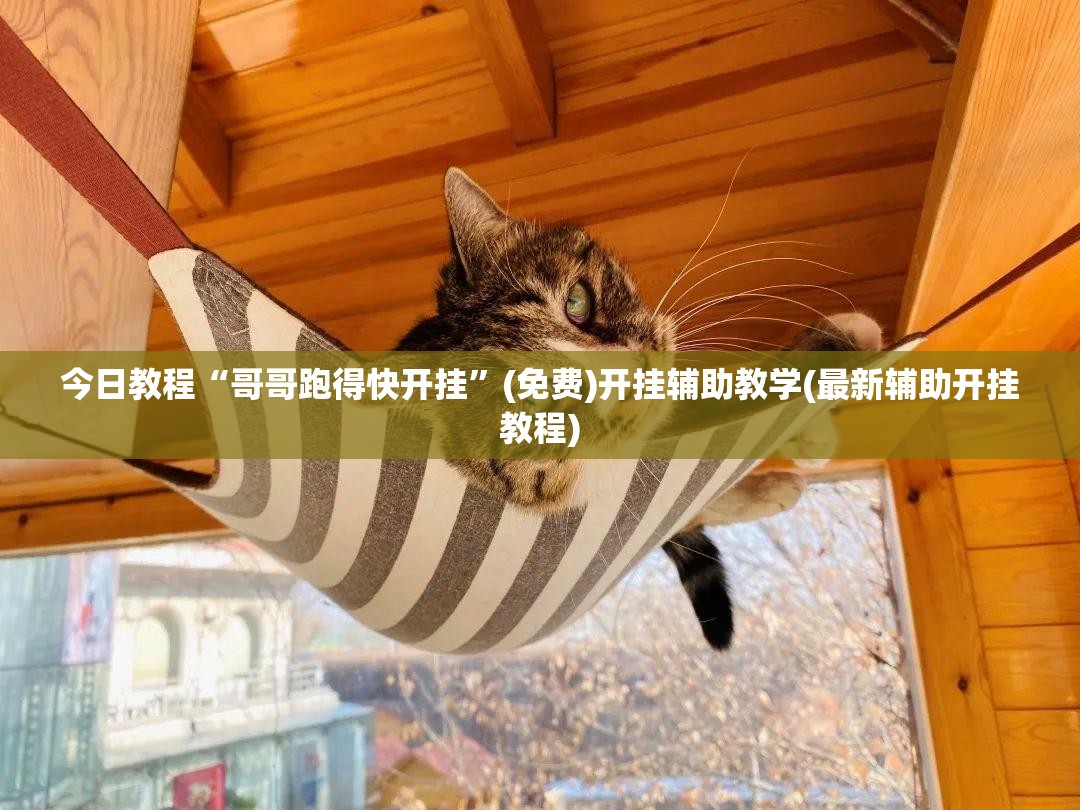 今日教程“哥哥跑得快开挂”(免费)开挂辅助教学(最新辅助开挂教程)
