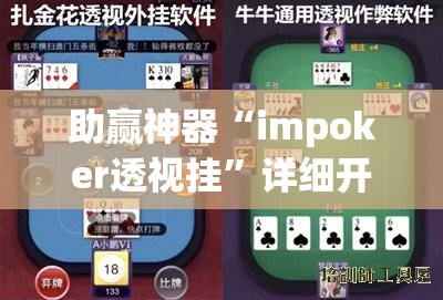 助赢神器“impoker透视挂”详细开挂教程