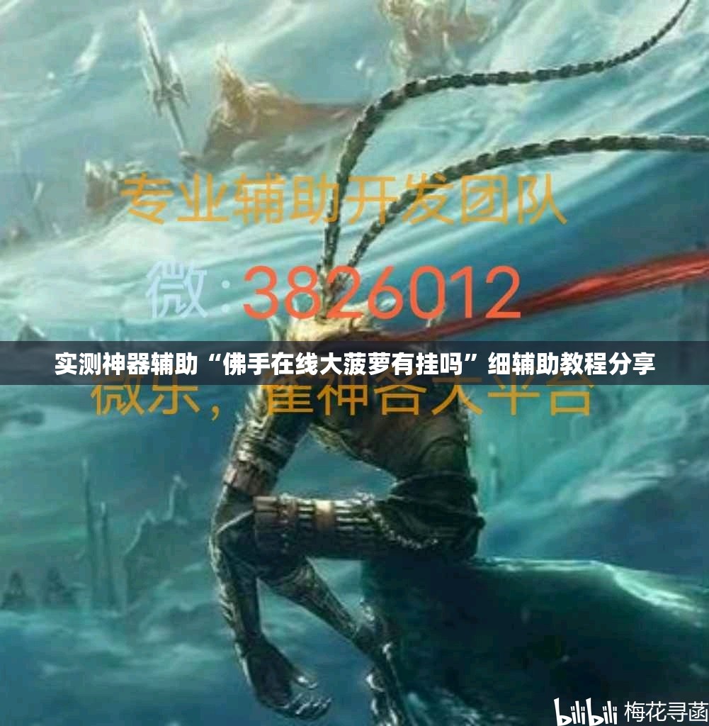 实测神器辅助“佛手在线大菠萝有挂吗”细辅助教程分享