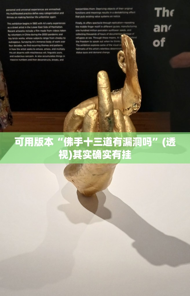 可用版本“佛手十三道有漏洞吗	”(透视)其实确实有挂