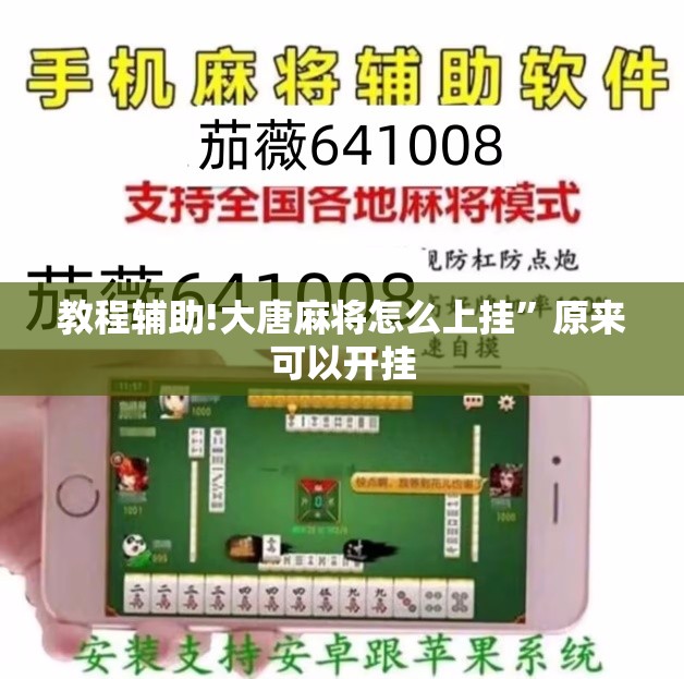 教程辅助!大唐麻将怎么上挂	”原来可以开挂
