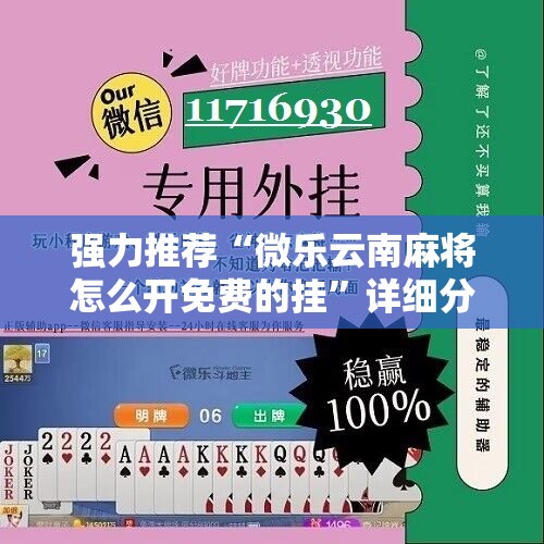 强力推荐“微乐云南麻将怎么开免费的挂”详细分享装挂步骤