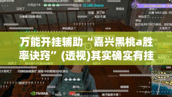 万能开挂辅助“嘉兴黑桃a胜率诀窍”(透视)其实确实有挂