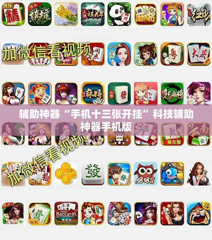 辅助神器“手机十三张开挂	”科技辅助神器手机版