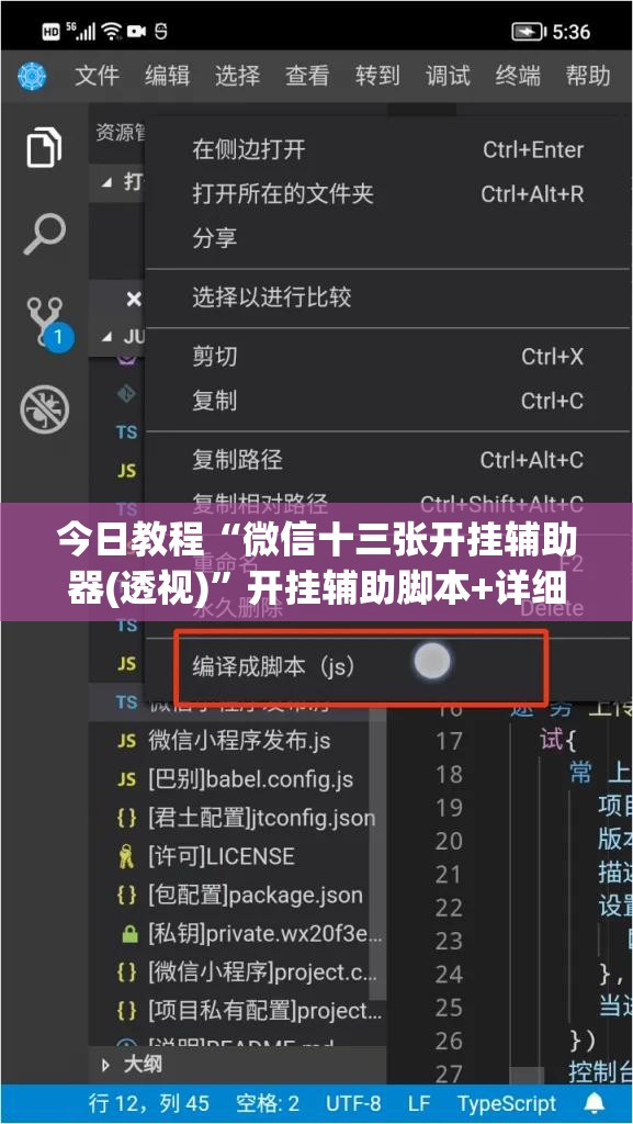 今日教程“微信十三张开挂辅助器(透视)”开挂辅助脚本+详细开挂安装教程