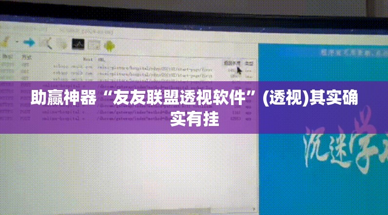 助赢神器“友友联盟透视软件”(透视)其实确实有挂