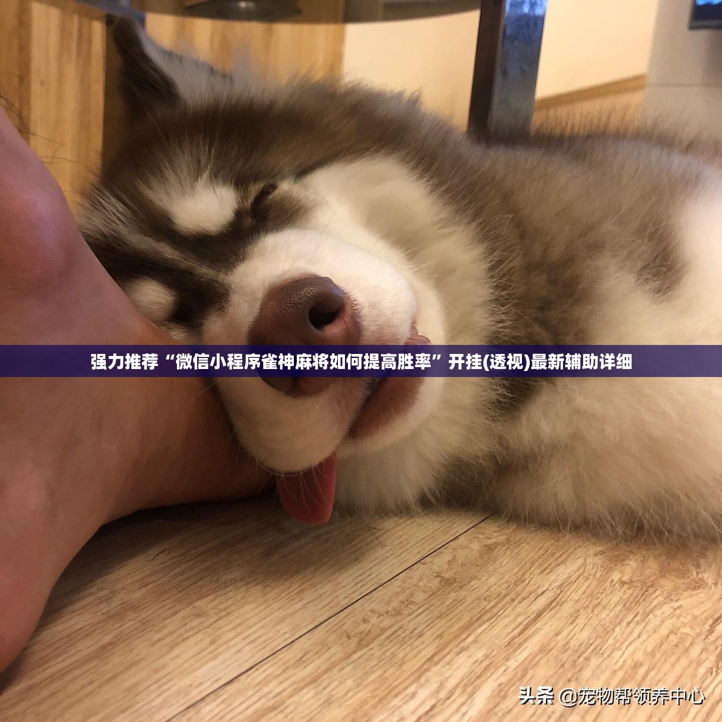 强力推荐“微信小程序雀神麻将如何提高胜率”开挂(透视)最新辅助详细