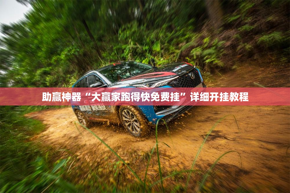 助赢神器“大赢家跑得快免费挂”详细开挂教程