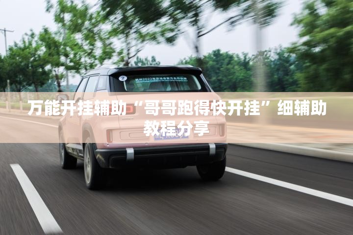 万能开挂辅助“哥哥跑得快开挂”细辅助教程分享