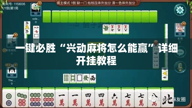 一键必胜“兴动麻将怎么能赢”详细开挂教程