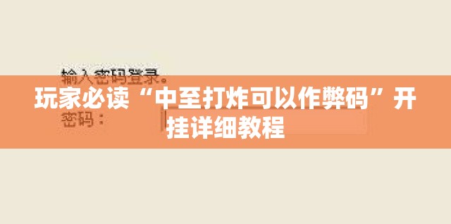 玩家必读“中至打炸可以作弊码”开挂详细教程