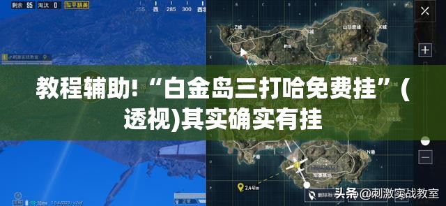 教程辅助!“白金岛三打哈免费挂”(透视)其实确实有挂