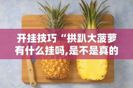 开挂技巧“拱趴大菠萝有什么挂吗,是不是真的	”细辅助教程分享