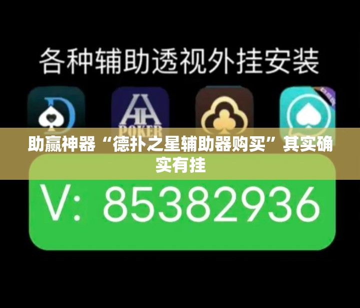 助赢神器“德扑之星辅助器购买”其实确实有挂