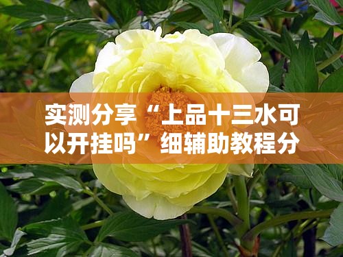 实测分享“上品十三水可以开挂吗	”细辅助教程分享
