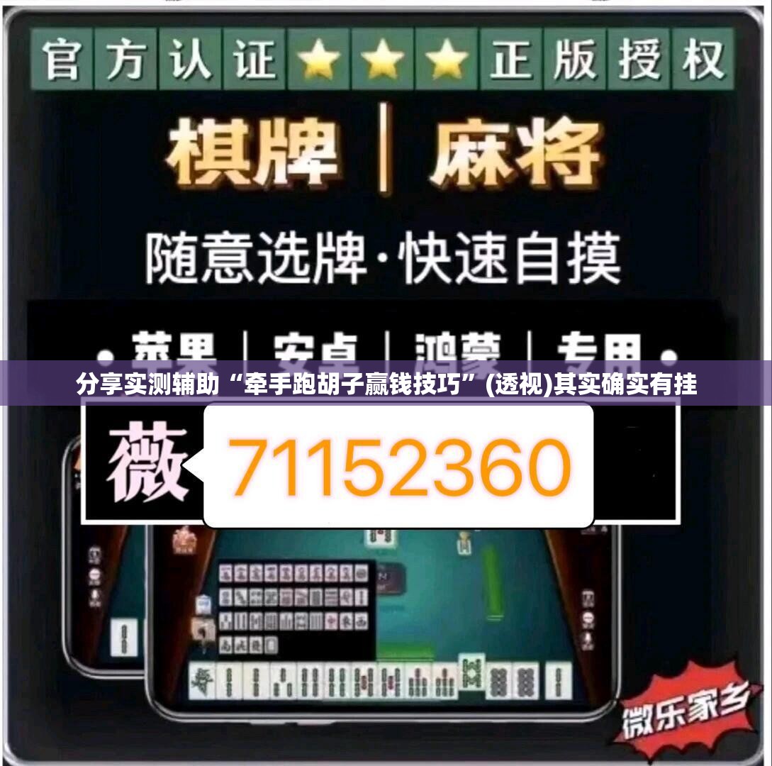分享实测辅助“牵手跑胡子赢钱技巧”(透视)其实确实有挂