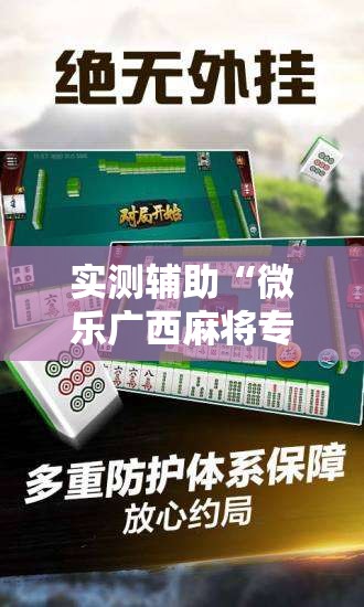 实测辅助“微乐广西麻将专用神器”细辅助教程分享