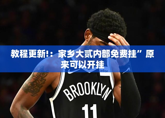 教程更新!：家乡大贰内部免费挂”原来可以开挂