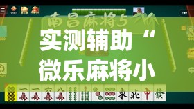 实测辅助“微乐麻将小程序挂	”(透视挂)辅助下载教程