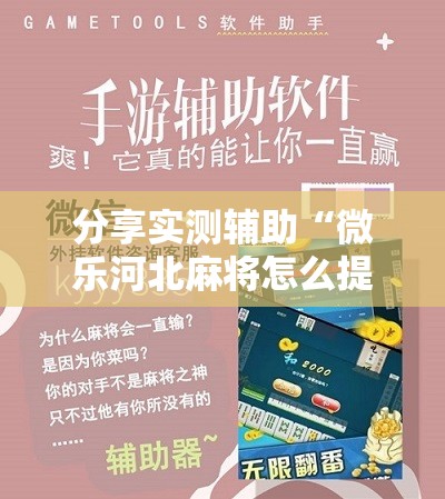 分享实测辅助“微乐河北麻将怎么提高胜率”细辅助教程分享