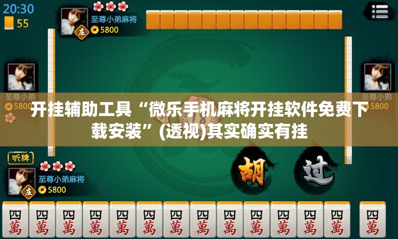 开挂辅助工具“微乐手机麻将开挂软件免费下载安装	”(透视)其实确实有挂