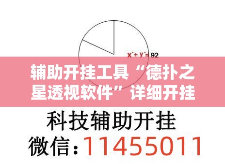 辅助开挂工具“德扑之星透视软件”详细开挂教程
