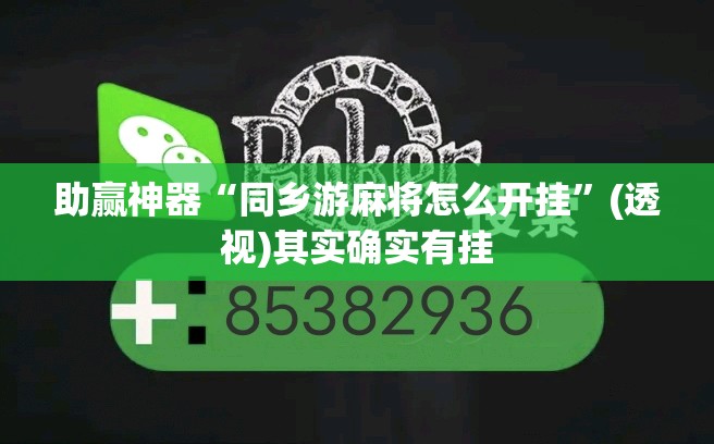 助赢神器“同乡游麻将怎么开挂	”(透视)其实确实有挂