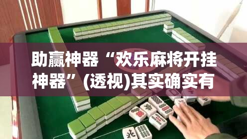 助赢神器“欢乐麻将开挂神器”(透视)其实确实有挂