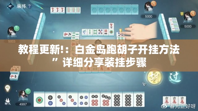 教程更新!：白金岛跑胡子开挂方法”详细分享装挂步骤
