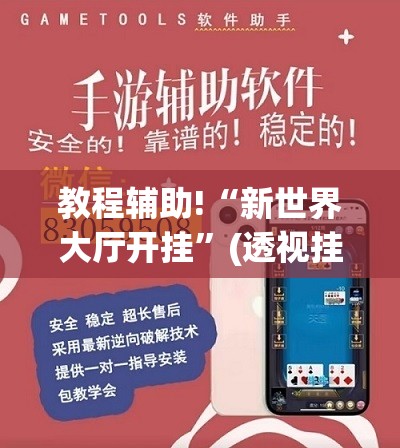 教程辅助!“新世界大厅开挂”(透视挂)辅助下载教程