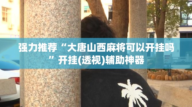 强力推荐“大唐山西麻将可以开挂吗”开挂(透视)辅助神器