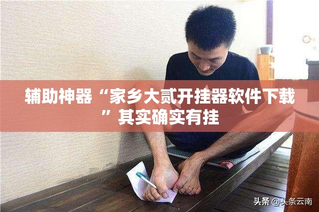 辅助神器“家乡大贰开挂器软件下载”其实确实有挂