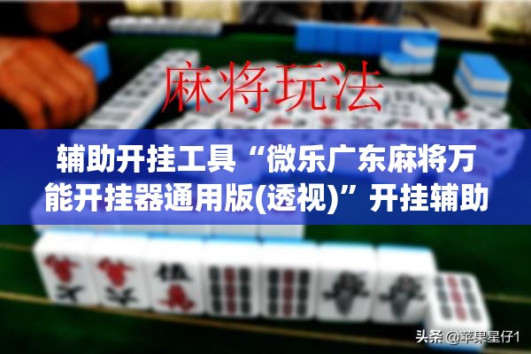 辅助开挂工具“微乐广东麻将万能开挂器通用版(透视)”开挂辅助脚本+详细开挂安装教程