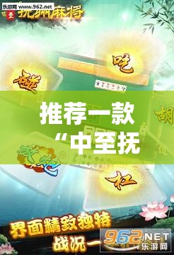 推荐一款“中至抚州麻将可以装挂吗”细辅助教程分享