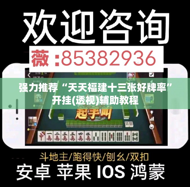 强力推荐“天天福建十三张好牌率”开挂(透视)辅助教程