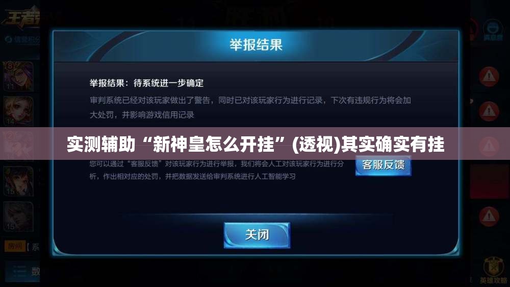 实测辅助“新神皇怎么开挂”(透视)其实确实有挂