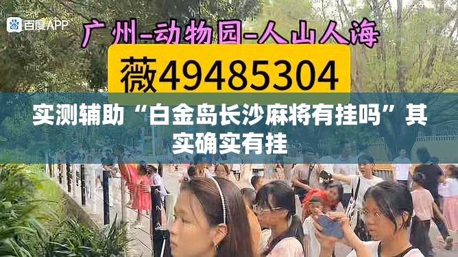 实测辅助“白金岛长沙麻将有挂吗”其实确实有挂
